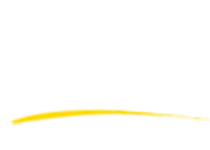 BLion